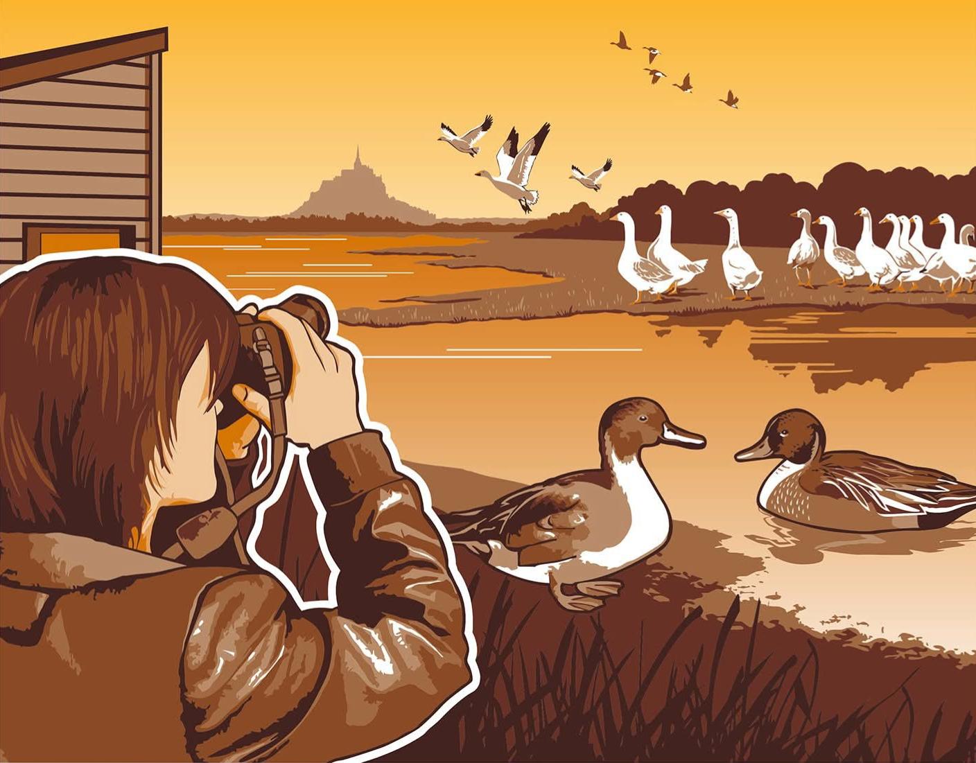 Photo du panneau : Marais du Couesnon